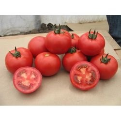 Tomato Aston f1, cumpărați semințe de tomate aston f1 nuneme holland, magazin online de 10 hectare