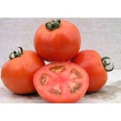 Tomato Aston f1, cumpărați semințe de tomate aston f1 nuneme holland, magazin online de 10 hectare