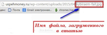 Site-ul de frânare duplicat imagini wordpress, blog-ul speranței unui sud