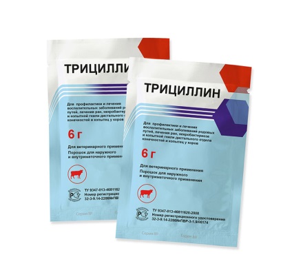 Tricillin, compania - sovietnabs Chelyabinsk - servicii de calitate veterinară în Chelyabinsk