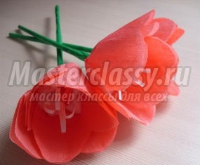 Tulipánok - master klasszikus - mesterkurzusok az Ön számára