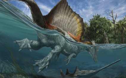 Dinozaurii au înotat