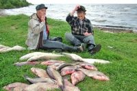 Aveți reguli de pescuit în regiunea Omsk, odihnă, aif omsk