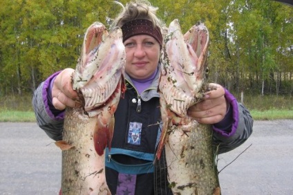 Halászati ​​szabályai vannak az Omszki régióban, a szabadidő, az aif omsk
