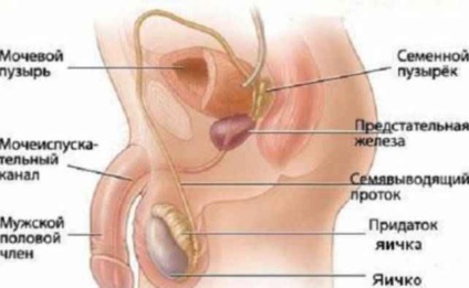 Practici medicale îngrozitoare din antichitate, de care, din fericire, am refuzat