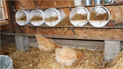 Ventilația în casa de găină cu propriile mâini - cum se face ventilație în casa de găină