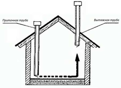 Ventilarea în casa de găină cu propriile mâini, trăsăturile unui aranjament independent