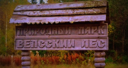 Veps Forest - un parc natural din regiunea Leningrad