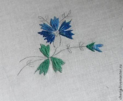 Embroider un albăstrău - târg de maeștri - manual, manual