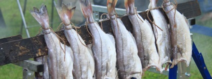 Evaluarea și stocarea calității peștelui uscat