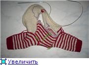 Noi tricot pentru animale