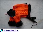 Noi tricot pentru animale