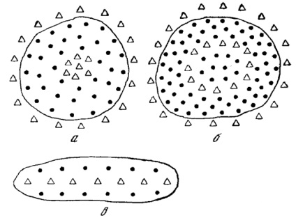 Inventarea legitima si in circuit a depozitului de petrol - stadopedia