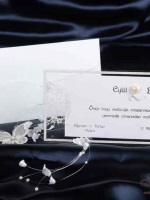 Zefir în ciocolată - invitații la nunta din Ekaterinburg