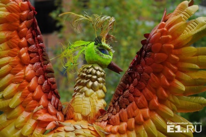 Firebird, Papuan és papagájok Jekatyerinburg díszítették az udvaron műanyag palackokkal