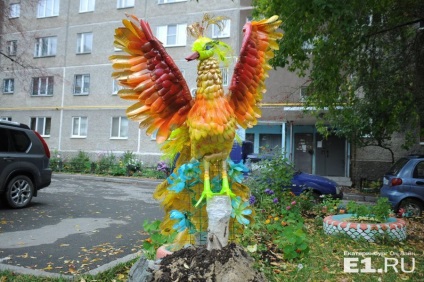 Firebird, papuani și papagali Ekaterinburg, au decorat curtea cu jaburi cu sticle de plastic