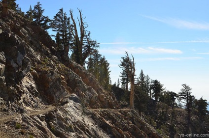 Intalnire cu regele minerale in Parcul National Sequoia