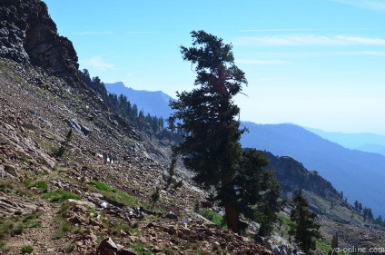 Intalnire cu regele minerale in Parcul National Sequoia