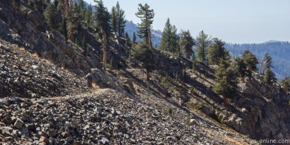 Az ásványi király ismerete a Sequoia Nemzeti Parkban