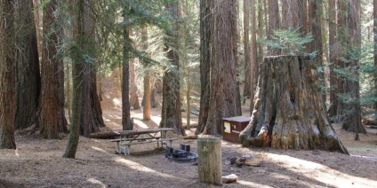 Intalnire cu regele minerale in Parcul National Sequoia