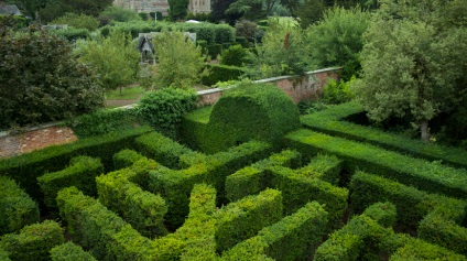 10 Érdekes tények a hampton udvar labirintusáról