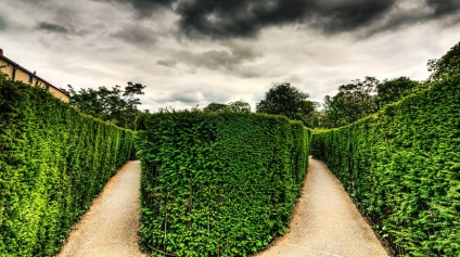 10 Interesante despre labirintul hampton court