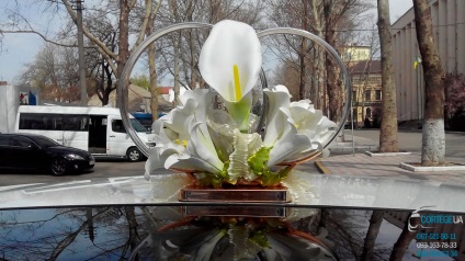55 Callas alb cu crini mici și ornamente de închiriere de aur pentru mașini pentru nunta Nikolaev Kherson