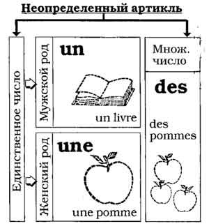 Artikli la, l ', le, les, un, une, des, franceză, lecții online
