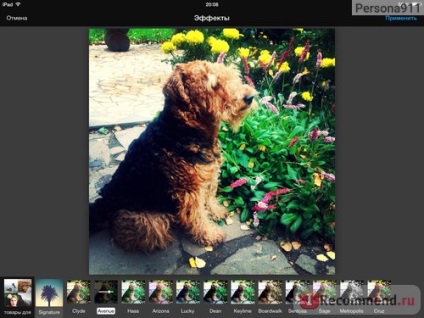 Aviary este un editor foto gratuit pentru Android - 