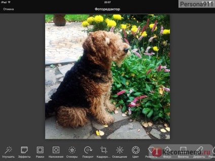 Aviary este un editor foto gratuit pentru Android - 