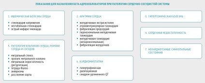 Beta-adrenoblockerii - mecanismul de acțiune și caracteristicile drogurilor - revista 