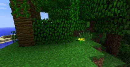 Biome - junglă - în minecraft