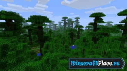 Junglă biome - toate pentru minecraft joc