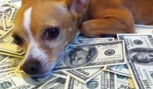 Un italian bogat la lăsat câinii 2 milioane de euro