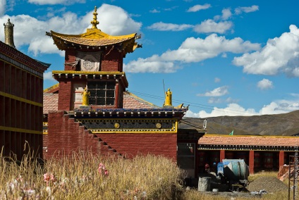 Dental bolnav și medicină tradițională tibetană