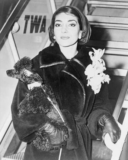 Divina Mary Callas (biografie, 33 poze)