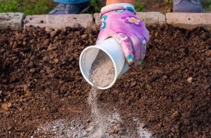 Cum să fertilizeze terenul în toamnă, dacă nu există gunoi de grajd