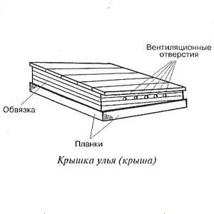 Desene de stupi pentru varietatea de albine, caracteristici constructive ale unui butoi de miere