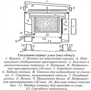 Desene de stupi pentru varietatea de albine, caracteristici constructive ale unui butoi de miere