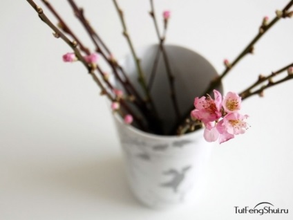 Feng shui őszibarack virágja a szerelem megszerzéséért