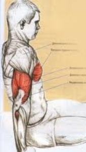 Acțiuni cu ruptura musculară pectorală, forță de forță