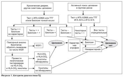 Diagnosticul bolii celiace
