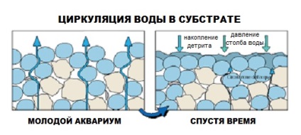 Aditivi pentru acvariu, substrat pentru acvariu