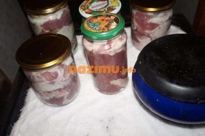 Acasă tocană de porc - rețetă foto pentru iarnă în cuptor