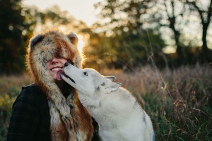 Doi câini Husky au schimbat viața unei fete