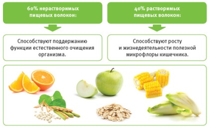 E460 celuloză - acțiune asupra sănătății, beneficiilor și răului, descriere