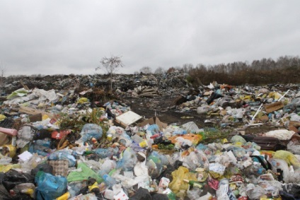 Novoszibirszk és Novoszibirszk környezeti problémái