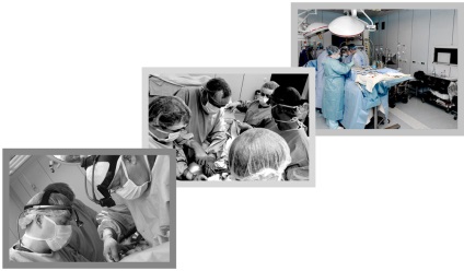 FTZ transplantologie și organe artificiale numit după academician în