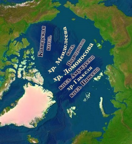 Geografie 7 clasă Oceanul Arctic