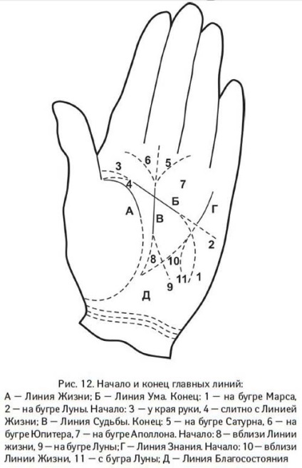 Principalele linii de pe palmă sunt cele care dau mărturie pentru toate ocaziile